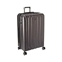 delsey paris mixte valise rigide extensible en titane avec roulettes pivotantes bagages enregistrés, graphite, checked-large 29 inch
